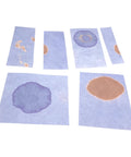 Blue Litmus Test Paper 8x10 Inch Sheets Pack Of 24 For Quick Acid Testing In Solutions with visible stained spots.