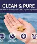 Hand holding 10mg Lithium Orotate Anxiety and Mood Support Capsules, non-GMO, gluten-free formula