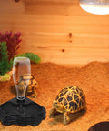 No Sweat Automatic Reptile Water Dispenser Featuring 13.5 Oz Gravity Auto Top Off in terrarium with turtles.
