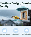 Smart Bird Feeder With 2K AI Camera And Solar Power, Auto Record Videos, Real Time Alerts, on tree in rainy backyard