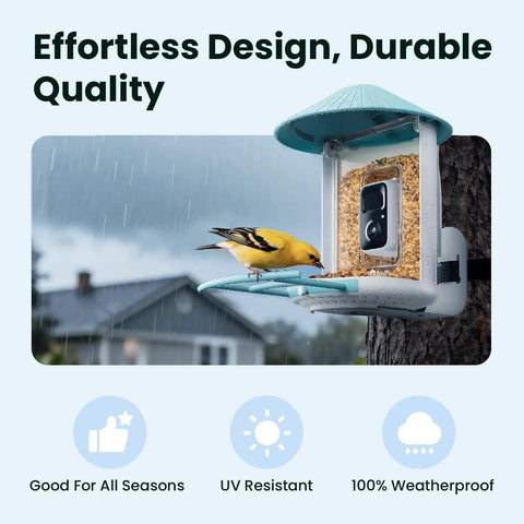 Smart Bird Feeder With 2K AI Camera And Solar Power, Auto Record Videos, Real Time Alerts, on tree in rainy backyard