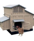 Snap Lock Large Chicken Coop For Backyards, Your Feathered Crew Hangout, Spacious Hen House For Four To Six Chickens Or Six To Twelve Bantams, Four Nesting Spots With Removable Dividers, Three 36 Inch Roosts, Durable Plastic Construction, shown with a brown chicken at the entrance.