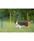 All Breeds Dog Agility Slalom Course With 12 Weave Poles Easy Assembly Outdoor Training Gear for Backyard and Park