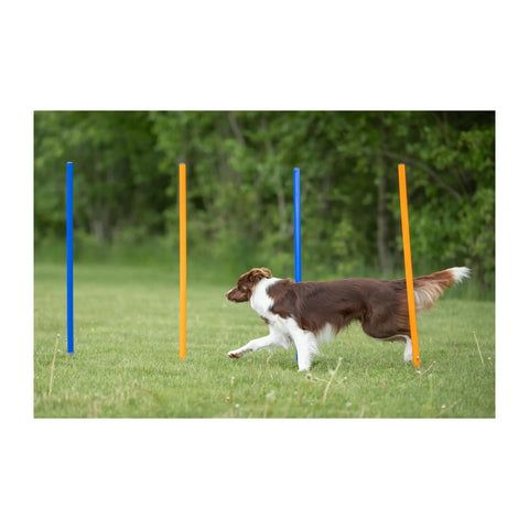 All Breeds Dog Agility Slalom Course With 12 Weave Poles Easy Assembly Outdoor Training Gear for Backyard and Park