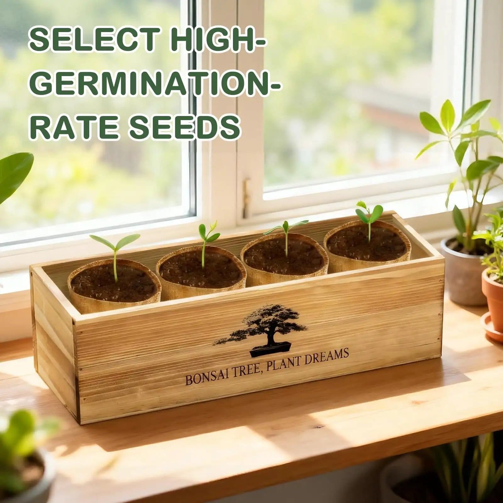 波花 BANZAI ストロング 3本・EXTRA 1本 合計4本セット Complete Bonsai Tree Kit for Beginners, Exotic 4-Tree Set ✓