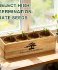Complete Bonsai Tree Kit for Beginners with 4 exotic species seedlings in wooden planter on windowsill.