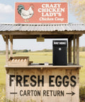 Metal Donation Box With Lock For Wall Mount Secure Cash Deposit Slot Money Drop Box at outdoor egg stand
