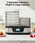Five Tray Food Dehydrator With Seamless Seventy Two Hour Countdown And Smooth Temperature Controls for drying fruits on a kitchen countertop.