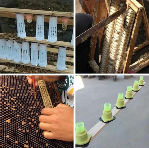 Beekeeping Rearing Cup Kit For Queen Bee Roller Cage With Plastic Gear For Insects Tools 20 Pack Easy To Use Lightweight