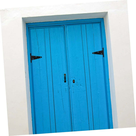 Front view of blue wooden double doors with black heavy-duty slotted hinges on white frame.