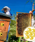 Beekeeping Entrance Gate Set for Nuc Boxes, 12 Pack Plastic Beehive Gates shown with honeycomb and beekeeper