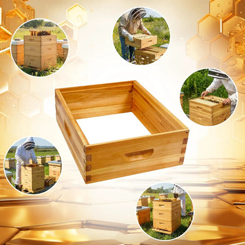 Two Pack 10 Frame Langstroth Medium Super Beehive Box Dipped In Beeswax For Beekeeping Supplies Durable Pine Wood, beekeepers using boxes