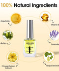 Pro Nail Prep Kit Three 18 ML Bottles Dehydrator Primer And Cuticle Oil HEMA Free Acid Free Formula with natural ingredients