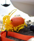 Orange Nautical Safety Kit For Paddle Sports And Boating No Brainer Gear With Waterproof Headlamp on ground by water