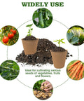 Biodegradable Seedling Pots 120 Pack 3.15 Inch With 30 Plant Labels in soil, surrounded by images of various vegetables and fruits