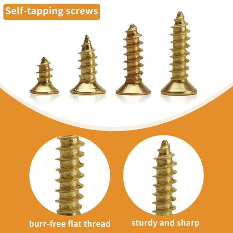 1300 Piece Wood Screw Kit Featuring M2 M2.5 M3 Flat Head Self Tapping Design Crafted From Heavy Duty Carbon Steel with various self-tapping screws.