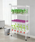 4 Tier Indoor And Outdoor Hydroponic Grow Rack With 12 Pipes And 108 Plant Sites displayed with plants and casters in a room.