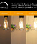 Dimmable Vintage LED Edison Bulbs Pack Of 4, 6W Equal To 60W, 700 Lumens, 2700K Warm White at various brightness levels.