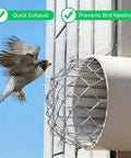 52mm OD Gutter Guard Filter Downspout Strainer With 5mm Mesh, 304 Stainless Steel Mesh Screen installed on exterior wall