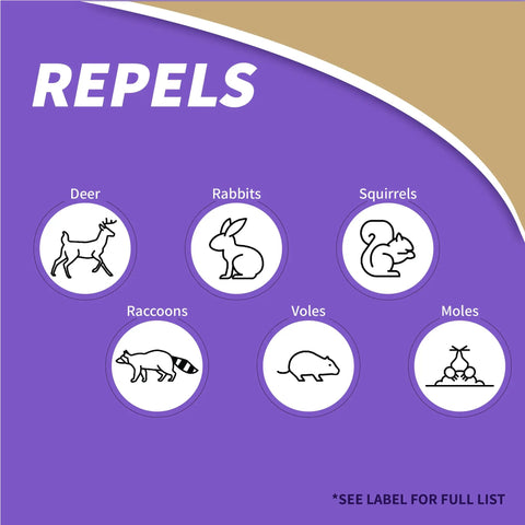 Repels All Animal Repellent Ready To Use Spray 32 Oz Outdoor Yard Garden Pest Barrier list of animals deterred: deer, rabbits, squirrels, raccoons, voles, moles