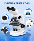 All Purpose Compound Binocular Microscope For Adults Pro Grade And Kids With 40X To 2000X Magnification LED Illumination Mechanical Stage WF10x And WF25x Eyepieces Perfect For Lab Classroom And Home Science Projects shown from side angle with focus on LED and mechanical stage features.