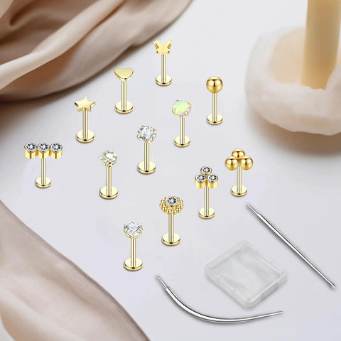 15Pcs Go To Body Jewelry Set Flat Back Push In Stud Earrings 20G 18G 16G 316L Surgical Stainless Threadless Nose Rings Medusa Piercing Jewelry Hypoallergenic Labret Studs Lip Rings Gold Tone With Ball Grabber Tool For Women And Men. Gold-tone flat back push-in studs, tool and case