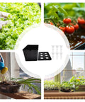 6 Hole Hydroponic Growing Box System for Vegetables Fruits and Flowers, indoor plants, water monitoring, compact design