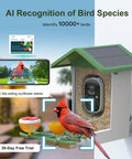 Solar Powered Bird Feeder With Camera For Outdoor Use AI Recognition And Real Time Alerts Wireless Bird House Viewable On Your Phone Treat Birds With Fruit Or Suet And Enjoy Bird Watching From Anywhere Perfect Gift For Mom Or Dad, featuring a close-up of the feeder installed outdoors with a bird, 2K HD camera, and smartphone screen displaying live bird image.
