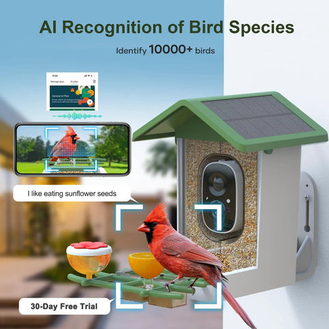 Solar Powered Bird Feeder With Camera For Outdoor Use AI Recognition And Real Time Alerts Wireless Bird House Viewable On Your Phone Treat Birds With Fruit Or Suet And Enjoy Bird Watching From Anywhere Perfect Gift For Mom Or Dad, featuring a close-up of the feeder installed outdoors with a bird, 2K HD camera, and smartphone screen displaying live bird image.