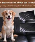 Heavy Duty Leather And Vinyl Repair Kit For Couches And Car Seats With Fast Acting Glue Custom Color Match To Patch Snags Cracks And Peels Zero Sweat Slick Finish Bring Your Gear Back Into Shape with dog on black leather couch showing scratches.