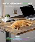 Electric Standing Desk 48 By 24 Inch Sit Stand Desk With 0.8 Inch Thick Tabletop Height Adjustable Three Memory Presets Cable Management Rock Solid Stable Base For Home Office with cat sleeping on wooden top