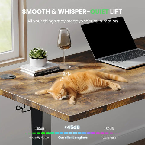 Electric Motorized Sit Stand Desk Adjustable Workstation 48 X 24 Inch Thick Desktop With 3 Memory Buttons Smooth Cable Routing Built Tough For Daily Grind Home Office Setup with a laptop and plant.