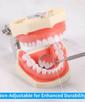 Pro Grade Stainless Steel Dental Inspection Mirror With Anti Fog Surface Curved Mouth Mirror Tool For Oral Care And Makeup Mini Reflector Non Slip Grip Durable Dental Instrument, shown with dental model