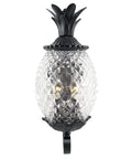 Lanai Collection Two Light Outdoor Wall Mount Fixture in Matte Black With Tropical Leaf and Fruit Style Exterior Lighting for Porch and Garden UL Wet Rated Weatherproof Exterior Wall Sconce