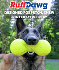 Dog holding Big Dawg Barbell XL Heavy Duty Solid Rubber Dog Chew Toy For Medium To Large Dogs, demonstrating outdoor use.