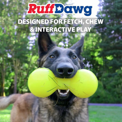 Dog holding Big Dawg Barbell XL Heavy Duty Solid Rubber Dog Chew Toy For Medium To Large Dogs, demonstrating outdoor use.