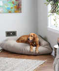 Quiet Register Booster Fan For Home HVAC, 4x10 Inch, Grey, 120 CFM, 4 Speeds, in a cozy living room setting with a dog.