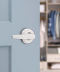 Inactive Dummy Door Handle With Single Sided Lever For Closets And Pantry, Satin Chrome Finish For French Double Doors, Non Turning Reversible Interior Push Pull Lever, DIY Friendly Install For Left Or Right Swing on blue door