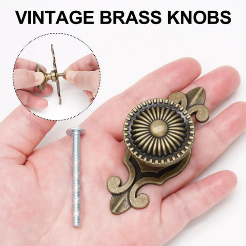 8 Piece Vintage Cabinet Knobs Set In Solid Antique Brass With Backplates shown in hand with detailed view