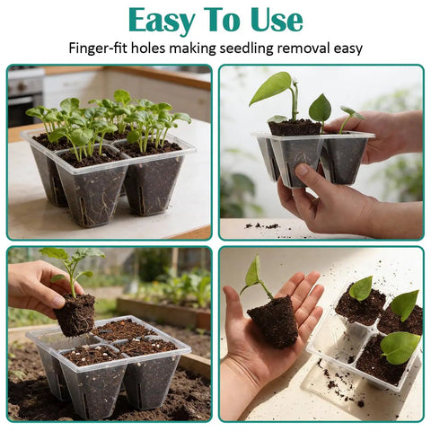 Heavy Duty 1020 Seed Tray Set With 40 Clear 4 Cell Seed Starter Trays Large Drainage Holes For Easy Transplanting And Strong Seed Germination Propagation 5 Pack