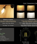 Led Edison Bulb 4W 450 Lumens 4000K Daylight White E26 Non Dimmable Vintage Style Bulb showing lighting facts and color temperature chart.