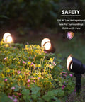 Low Voltage Landscape Spotlight Kit With 20W Halogen Bulbs 12V AC Outdoor Black Lights illuminating garden foliage