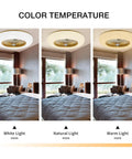 Dope 22 Inch Modern Ceiling Fan With LED Light Dimmable Warm Natural White Remote And App Control Adjustable Wind Speed Timer