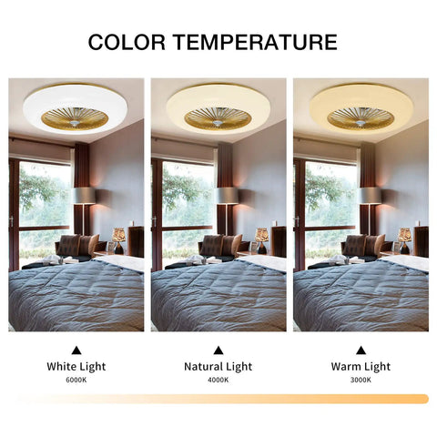 Dope 22 Inch Modern Ceiling Fan With LED Light Dimmable Warm Natural White Remote And App Control Adjustable Wind Speed Timer