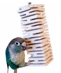 Green cheek conure with Ultra Soft Balsa Wood Foraging Bird Toy With Canyon Groove Destructible Chew Safe Untreated Natural Wood
