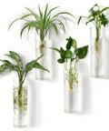 Glass Tube Propagation Station Hanging Vase Set - 4 Cylinder Wall Planters For Hydroponics, Plants, Bathroom, Home Office, Living Room Decor Gift with water roots visible