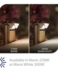 Linear Adjustable 12V Path And Area Light With Riser And Stem Kit 3000K Warm White Built In LED Black Finish light comparison