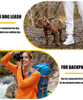 60-pack 3-inch galvanized steel snap hook carabiners for outdoor gear such as dog leashes and backpacks