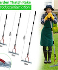 Three sizes of 15 Inch Lawn Dethatcher Rake with Steel Handle Pro Grade Heavy Duty Thatch Remover for Aerating Lawns on display