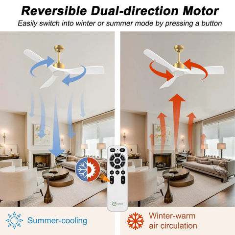 52 Inch Smart Ceiling Fan With Lights Remote Control Quiet DC Motor 3 Blades White Gold Modern Design For Bedroom And Living Room ETL Listed Safe For Your Home shown in summer and winter modes